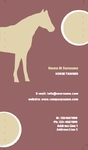 horse-and-cub-91
