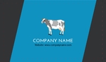 holistic-animal-143